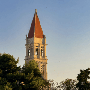 University College Digital Site License PPR